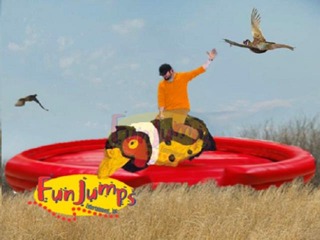 Rental store for Mechanical Pheasant Interactive in Minneapolis / St Paul MN