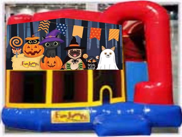 Rental store for Halloween Pets 4 In 1 Slide Combo in Minneapolis / St Paul MN
