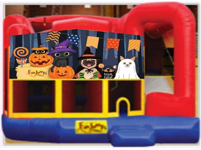 Rental store for Halloween Pets 6 In 1 Slide Combo in Minneapolis / St Paul MN