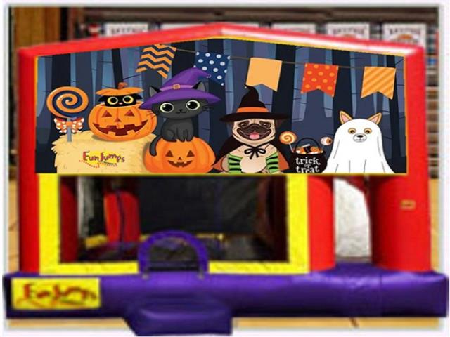 Rental store for Halloween Pets Slide Combo in Minneapolis / St Paul MN