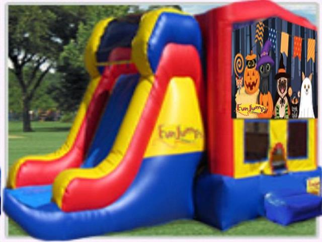 Rental store for Halloween Pets XL Slide Combo in Minneapolis / St Paul MN