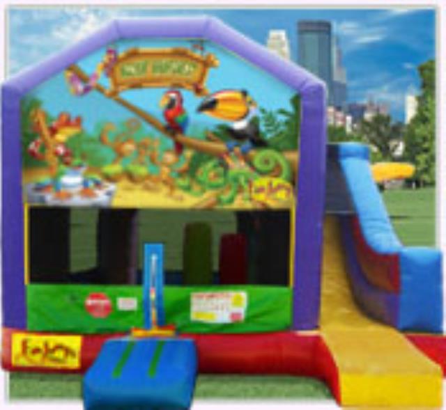 Rental store for Rainforest 7 In 1 Slide Combo in Minneapolis / St Paul MN