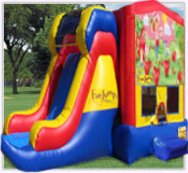 Rental store for Strawberry Shortcake XL Slide Combo in Minneapolis / St Paul MN